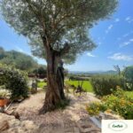 Casa Vacanza Contras Olbia