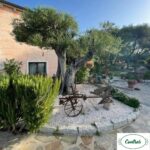 Casa Vacanza Contras Olbia
